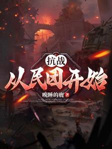 抗日:从民团开始 抗日:从民团开始