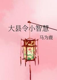 大县令小智慧 大县令小智慧